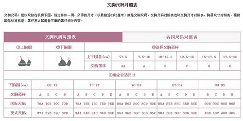 胸罩ABCD尺码表 文胸的尺码是怎么算的