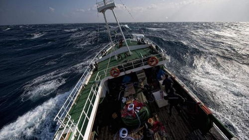 现实版大逃杀 渔船出海33人,只回来11人,每个人手上都 沾着血