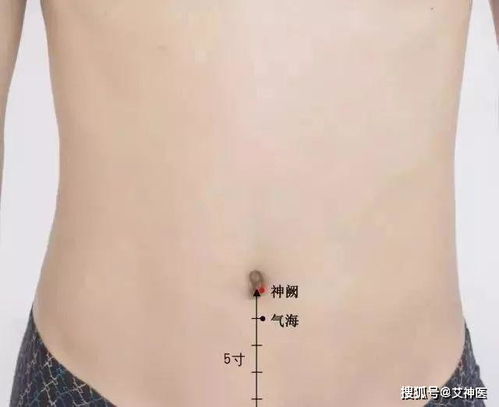 艾神医 艾灸调理痛风,每天灸一灸,疼痛悄悄溜走