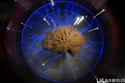 科学证明人脑是宇宙最高级物质形态 或是宇宙的自检程序