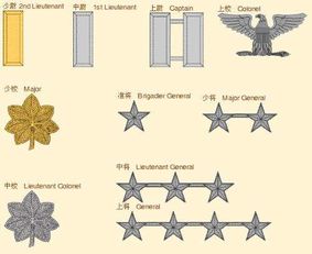 美国现役军衔及职务等级图解 