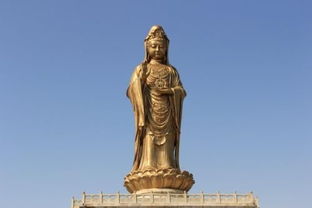 浙江一座5A级风景区 佛教四大名山之一 还是观世音菩萨的道场 