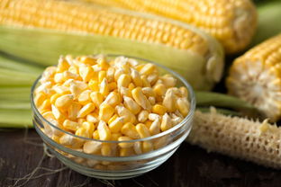 吃玉米真的可以减肥吗 还不如吃这种减肥食物更快 张雨诺