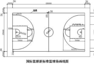 蓝球场面积