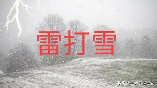 罕见 下雪又打雷,俗语 雷打雪,人啃铁 啥意思 有什么预兆