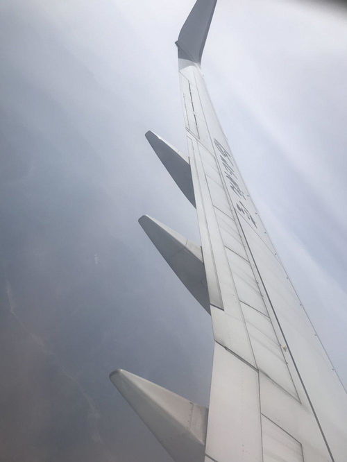 第一次坐飞机的体验丨来自处女飞的真实感受