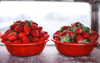 草莓印是怎么种出来的? 怎么快速种草莓印