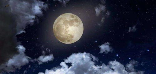天上的月亮和地上的霜是什么? 天上的月亮和地上的霜图片