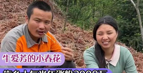 网红牛爱芳的小春花,为何翻车之后却越来越红