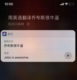 苹果Siri翻译究竟出了啥Bug 牛和 牛 傻傻分不清楚