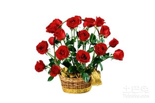 情人节送花送几朵 玫瑰花的不同寓意