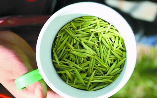 中国四大茶叶有哪些 你喝过几种呢 没想到茶叶之间也有地位之分