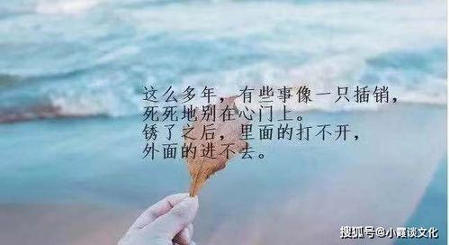 最触动人心的一句话语录,简短精炼,发朋友圈分分钟刷屏