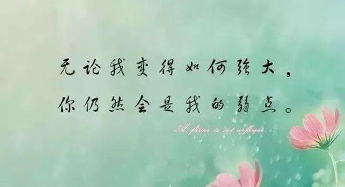 偶尔发个朋友圈的幽默短句子