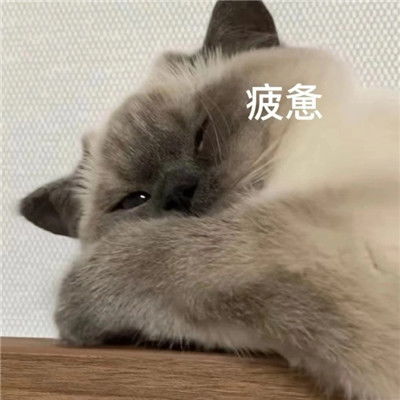 抖音完了芭比q了表情包