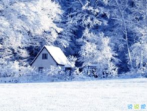 朋友圈晒雪景的句子带图片 下雪说说唯美简短配图