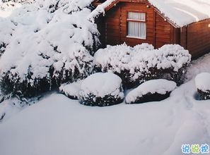 朋友圈晒雪景的句子带图片 下雪说说唯美简短配图