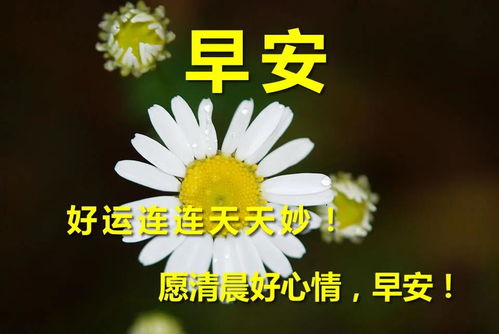 星期五早上好问候语图片大全 早上好祝福语阳光动态图片表情带字 