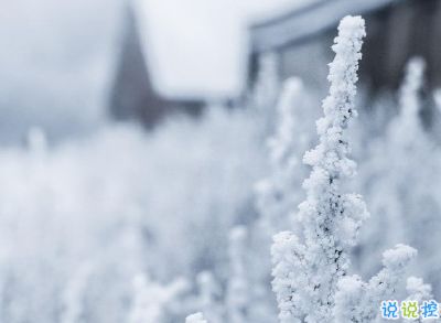 冬天下雪天文案唯美带图片 抖音最火下雪天说说