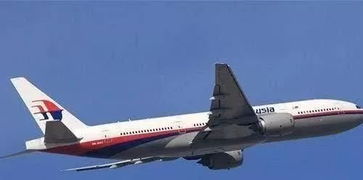 家属激动万分,马航mh370客机坠毁事件水落石出,终于查处了真相 