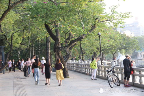 漫步惠州街头,感受古城风采,明年就是 惠州 定名1000年了