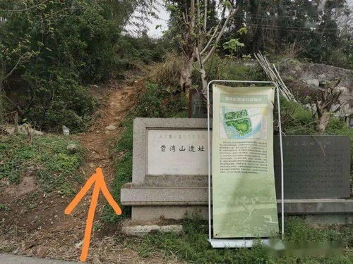 游曹湾山遗址