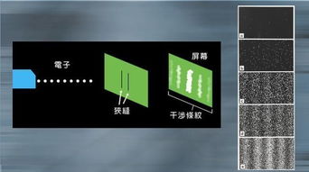 全世界最惨的猫最接地气的量子力学科普 