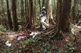 日本的恐怖杀人森林 每走20分钟就能遇到一具死尸 