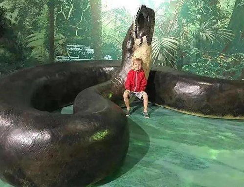 历史上最大的蛇:泰坦巨蟒塞雷洪西斯 Titanoboacer 历史上发现最大的蛇