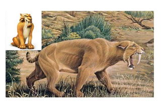 远古最强猛兽 巨鬣狗重达300公斤 内附巨鬣狗vs剑齿虎照片 2