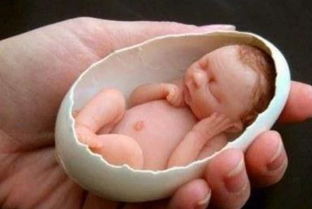阿米利娅泰勒:世界上最小的早产儿 阿米利娅泰勒现在多大了