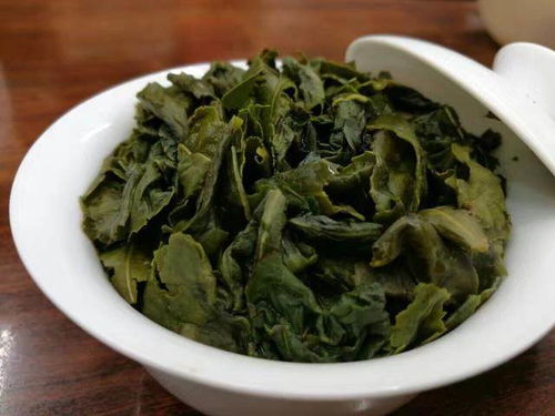 铁观音不仅是茶的名字,也是茶树的品种名称