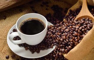 象屎咖啡贵还是猫屎咖啡贵 象屎咖啡和猫屎咖啡的区别