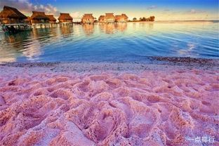 世界十大最美沙滩颜色 排名第一的粉色沙滩是少女们的最爱