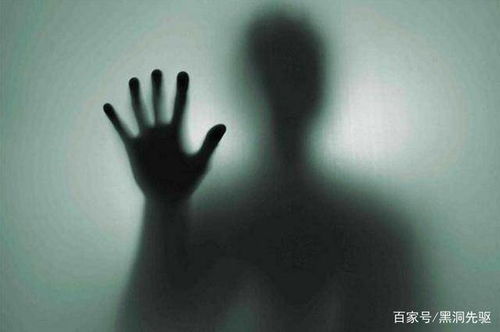 最愚蠢死亡方式盘点,历届 达尔文奖 得主,都下场凄惨