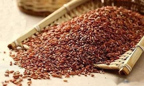 胭脂稻到底是什么水稻 为何说它是康熙发明的 还得到毛主席青睐