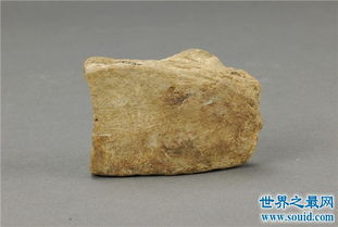 世界上最软的石头,它并不是豆腐做的 
