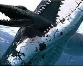 恐龙类海洋霸主上龙,食物链最顶端的存在 一口能咬断任何动物 