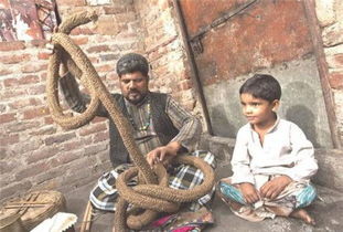 印度通天绳之谜 史上第一幻术,通往天国的绳子