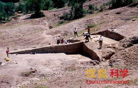 考古学家发现 200万年前人类祖先以大脑为食