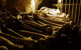 白骨堆积如山 探秘巴黎地下墓穴 