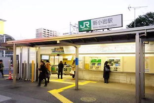为什么东京有这么多车站在这里发生的可能性特别高?请珍惜生命, 为什么东京乌鸦这么大