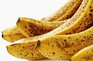 有斑点的香蕉不能吃 原生四季揭秘 