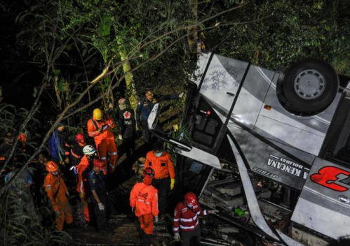 印尼大巴坠崖27人遇难 车上满载学生与家长 图