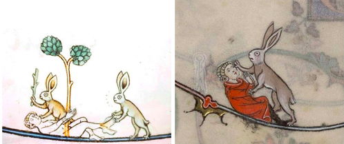 在中世纪手稿中发现的暴力兔子插图