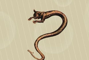 存在于阿尔卑斯山的神秘生物,猫头蛇身,能散发剧毒