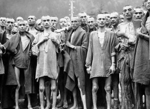 美军首次解放的纳粹集中营,士兵看到了什么 射杀了全部德国看守