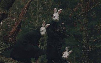 生兔子的女人 美国兔子人传说,一种拿着斧子到处杀人的怪胎