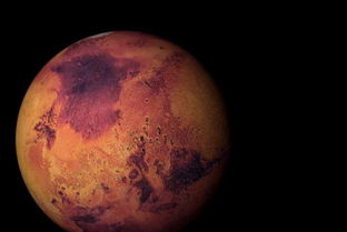 去外星球种粮食 研究员试验用火星相似土壤种菜 