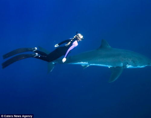 科学家们在苏格兰西海岸附近研究深海鲨鱼 苏格兰的发明家和科学家